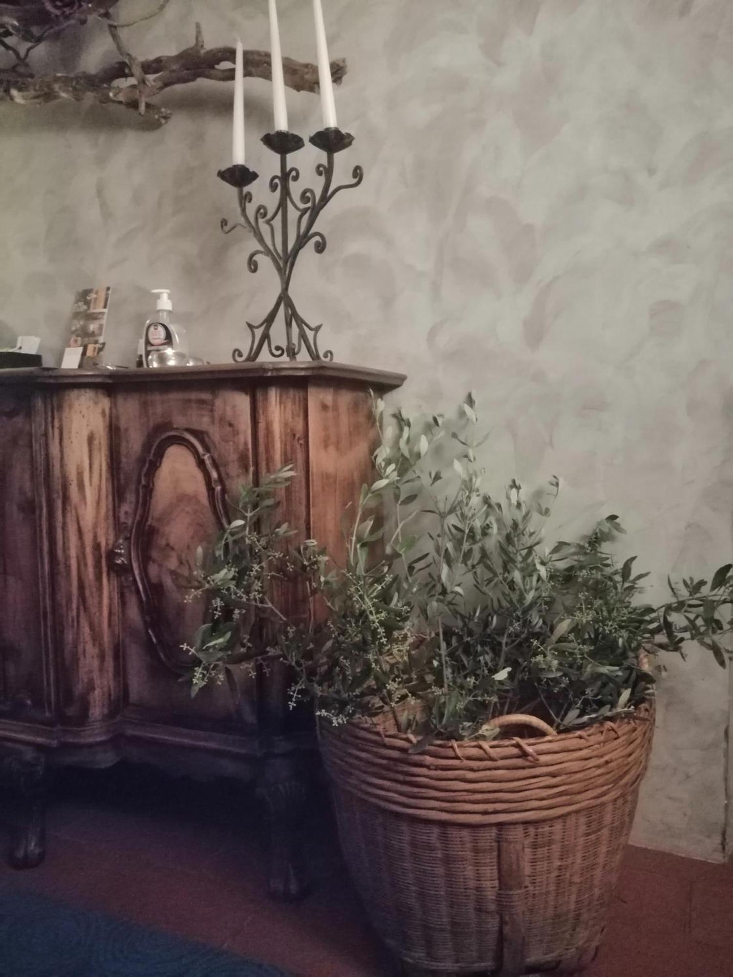 Corte Di Maggio B&B Country House Imola Dış mekan fotoğraf