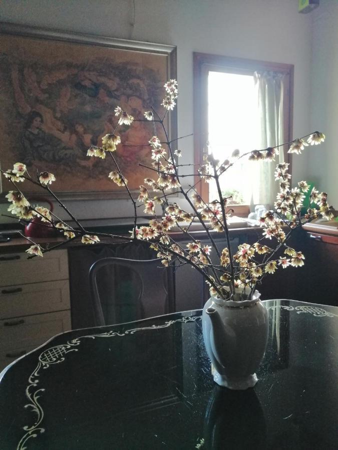 Corte Di Maggio B&B Country House Imola Dış mekan fotoğraf