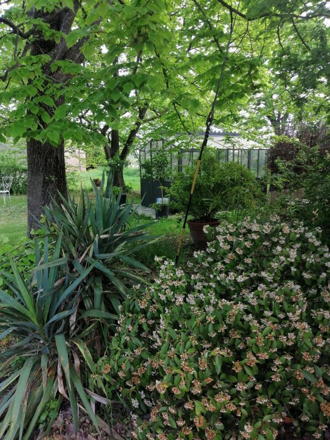 Corte Di Maggio B&B Country House Imola Dış mekan fotoğraf