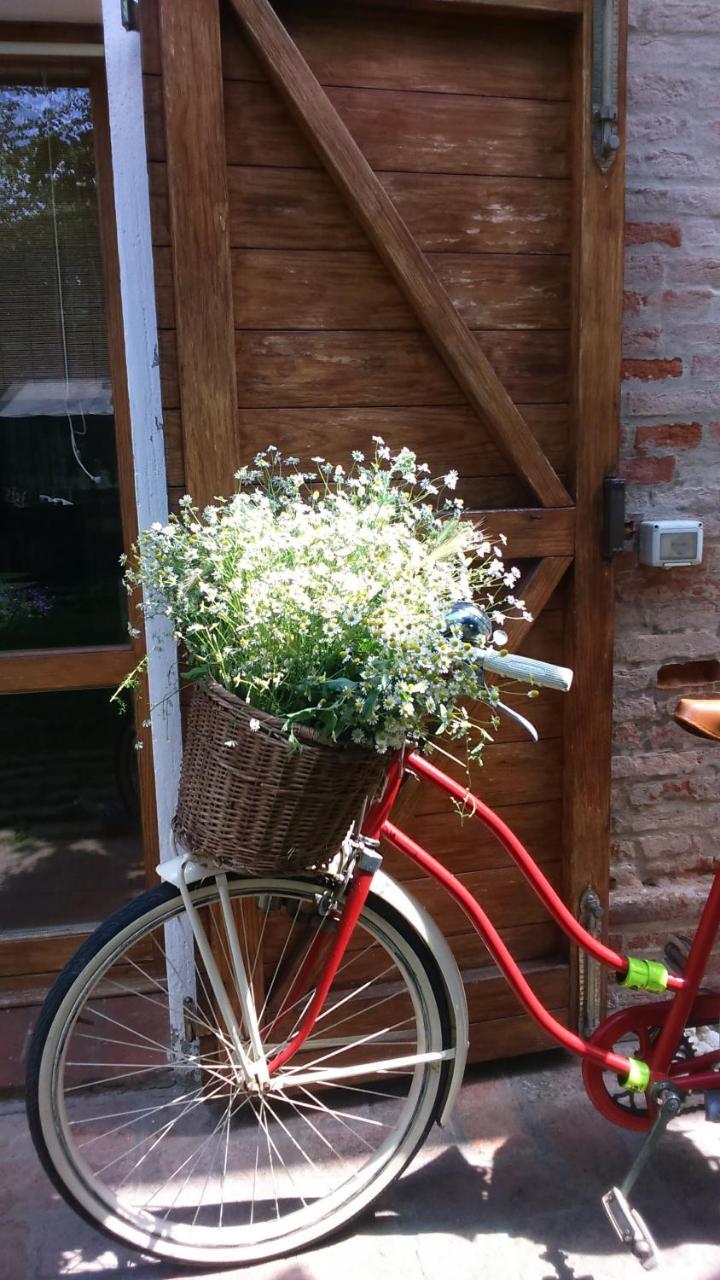 Corte Di Maggio B&B Country House Imola Dış mekan fotoğraf